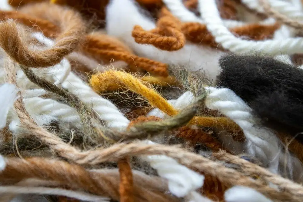Raw combed pashm fibre, the undyed undercoat of the Changthangi goat.